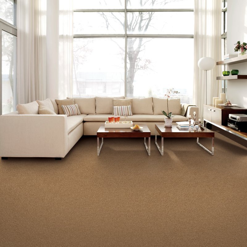Carpet info from Heath Flooring Concepts | Dallas, GA
