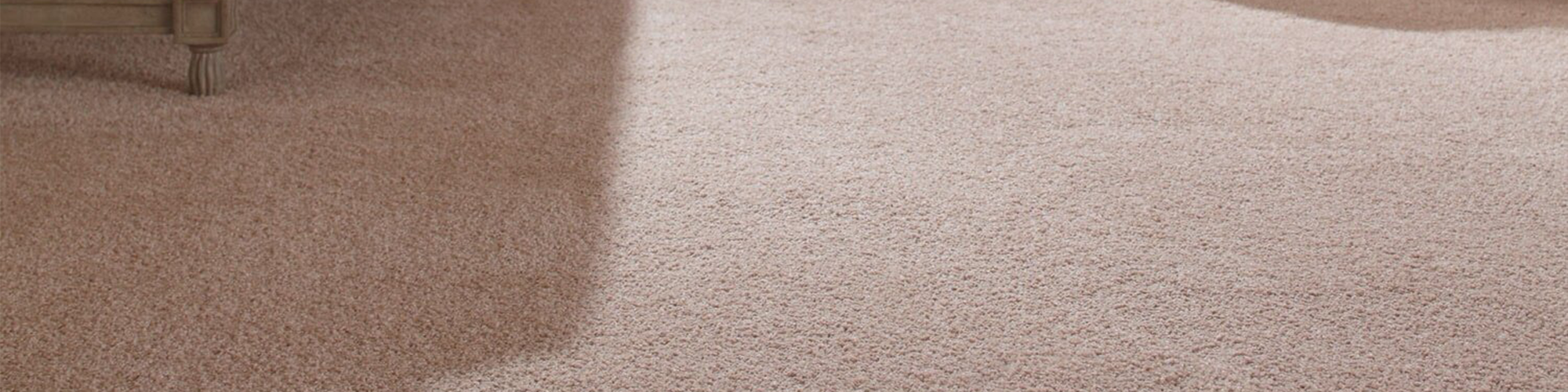 Carpet maintanance Atlanta Hwy Dallas